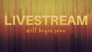 Wood Sunburn Livestream
