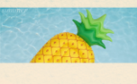 Summer Floatie 4 (159306)