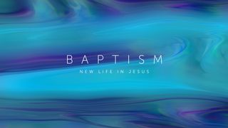 Summer Nights : Baptism