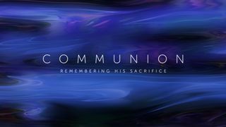 Summer Nights : Communion