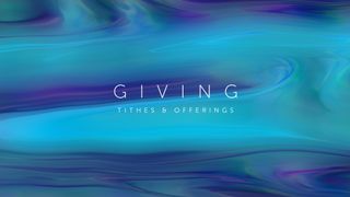 Summer Nights : Giving
