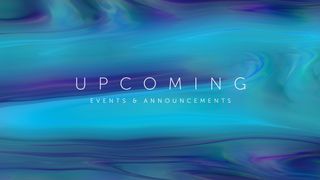 Summer Nights : Upcoming
