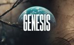 Genesis (159981)