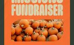 Pumpkin Patch Fundraiser (160058)