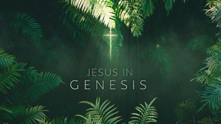Jesus in Genesis
