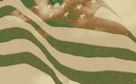 Thank You For Your Service (160235)