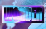 Wonder (160497)