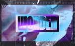 Wonder (160499)