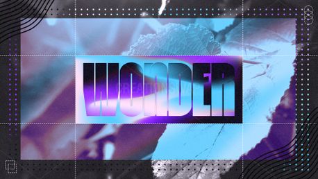Wonder (160499)