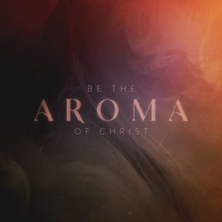 Aroma Socials