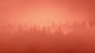 Timberline : Loop 01