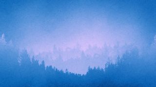 Timberline : Loop 02