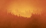 Timberline : Loop 03 (160841)