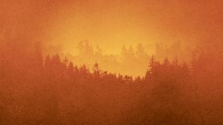 Timberline : Loop 03