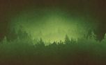 Timberline : Loop 04 (160842)