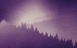 Timberline : Loop 06 (160844)