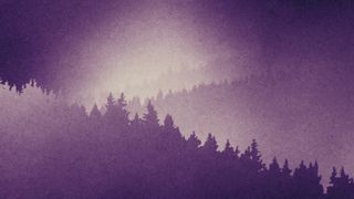 Timberline : Loop 06
