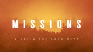 Timberline : Missions
