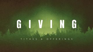 Timberline : Giving