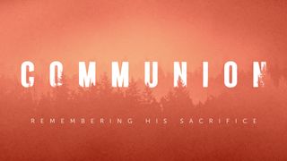 Timberline : Communion
