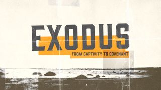 Exodus Title Motion