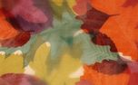 Layers of Leaves : Loop 01 (161332)
