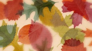 Layers of Leaves : Loop 08