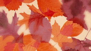 Layers of Leaves : Loop 07