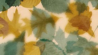 Layers of Leaves : Loop 06