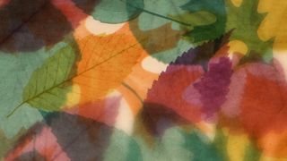 Layers of Leaves : Loop 02