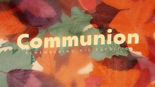 Layers of Leaves : Communion