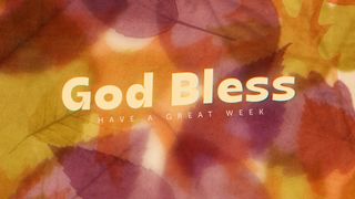 Layers of Leaves : God Bless