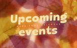 Layers of Leaves : Upcoming (161347)