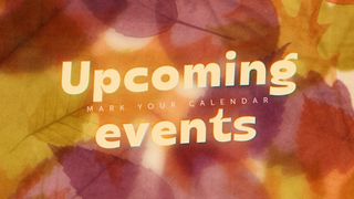 Layers of Leaves : Upcoming