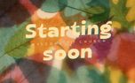 Layers of Leaves : Starting (161348)