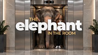 Elephant In The Room