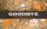 Fall Leaves Goodbye (161411)