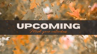 Fall Leave Upcoming
