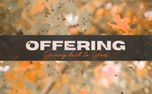 Fall Leaves Offering (161413)