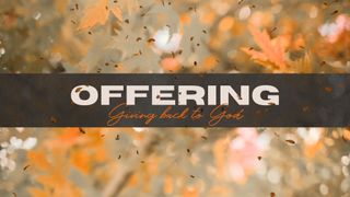 Fall Leaves Offering