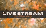 Fall Leave Live Stream (161415)