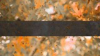 Fall Leave Blank Loop