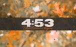 Fall Leaves 5 Minute Countdown (161418)
