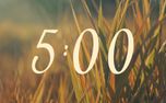 The Grass : Countdown (161419)