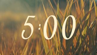 The Grass : Countdown
