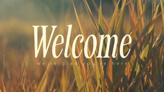 The Grass : Welcome