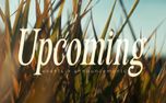 The Grass : Upcoming (161426)