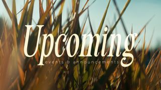 The Grass : Upcoming