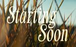 The Grass : Starting Soon (161428)