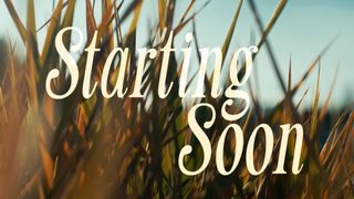 The Grass : Starting Soon